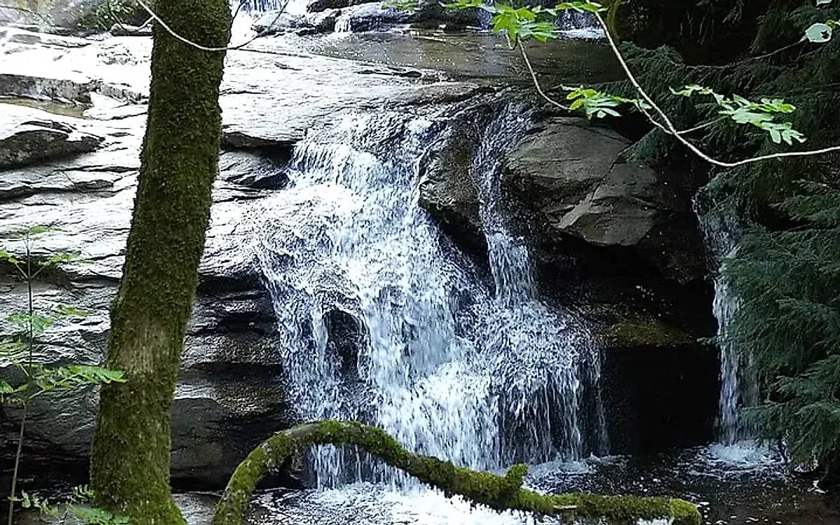 Gölbaşı Picnic & Recreation Area