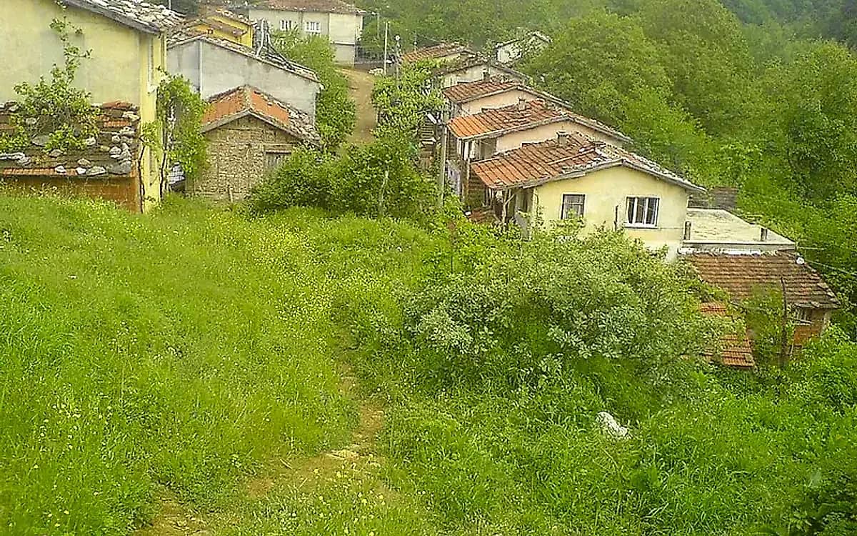 Saitabat Village Women's Association Organic House