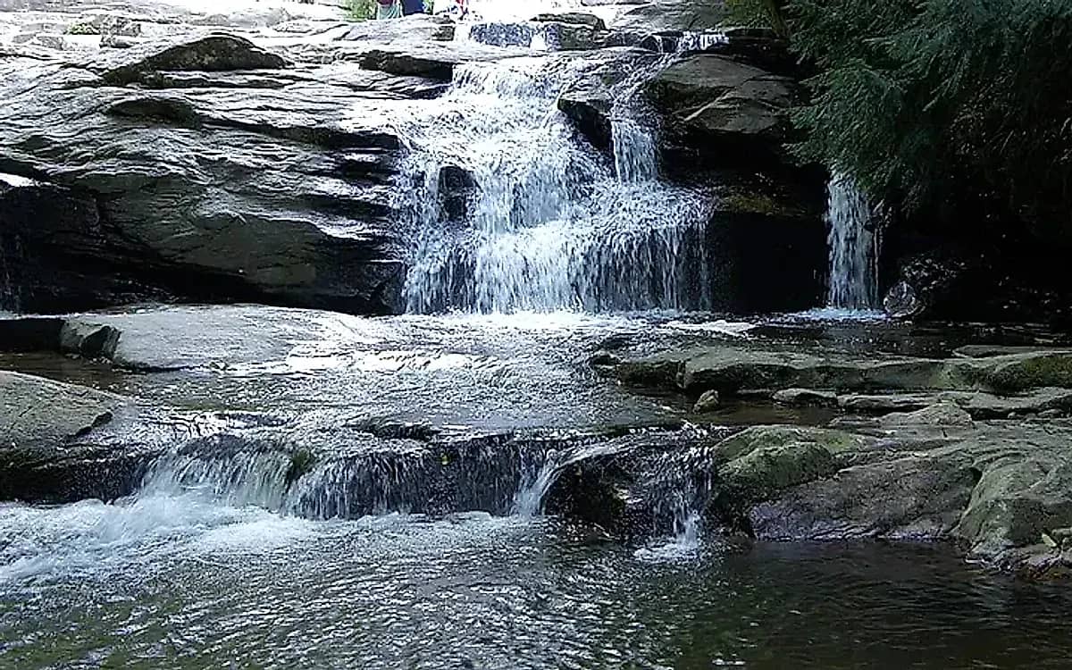Saitabat Picnic & Recreation Area