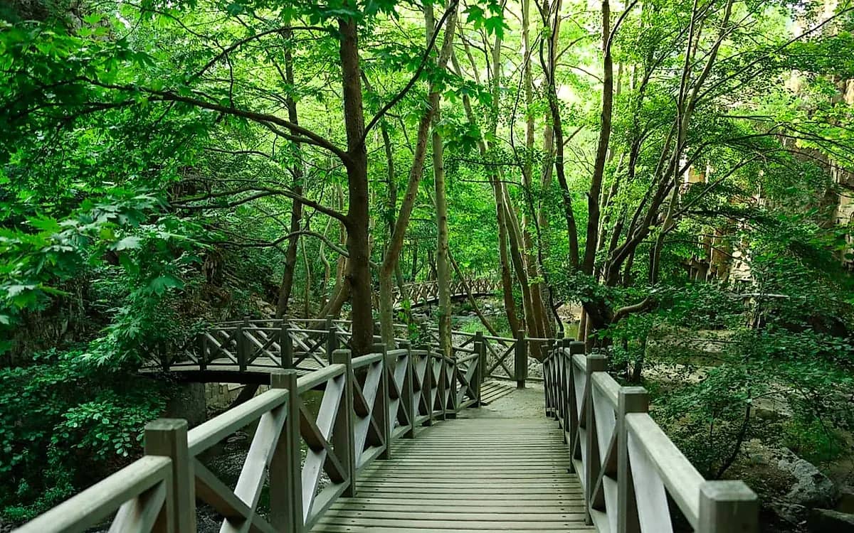 Sadağı Canyon Nature Park: Roman Rock Bath, Suspension Bridges & Hiking Guide