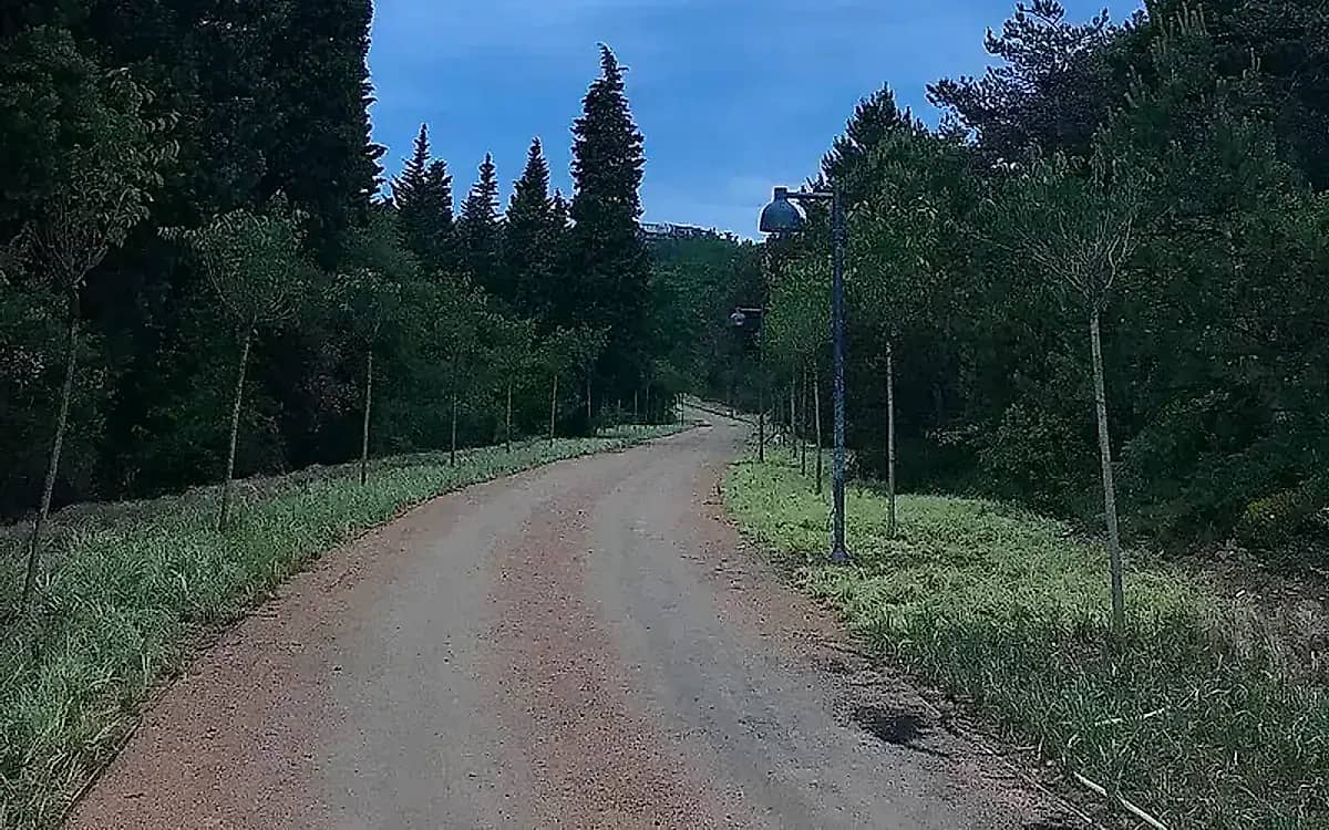 Cumalıkızık Forest Park
