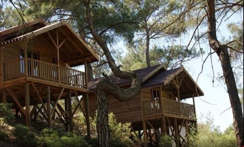 Harmancık Eko Turizm Dağ Evleri & Macera Parkı - Vorschaubild 3