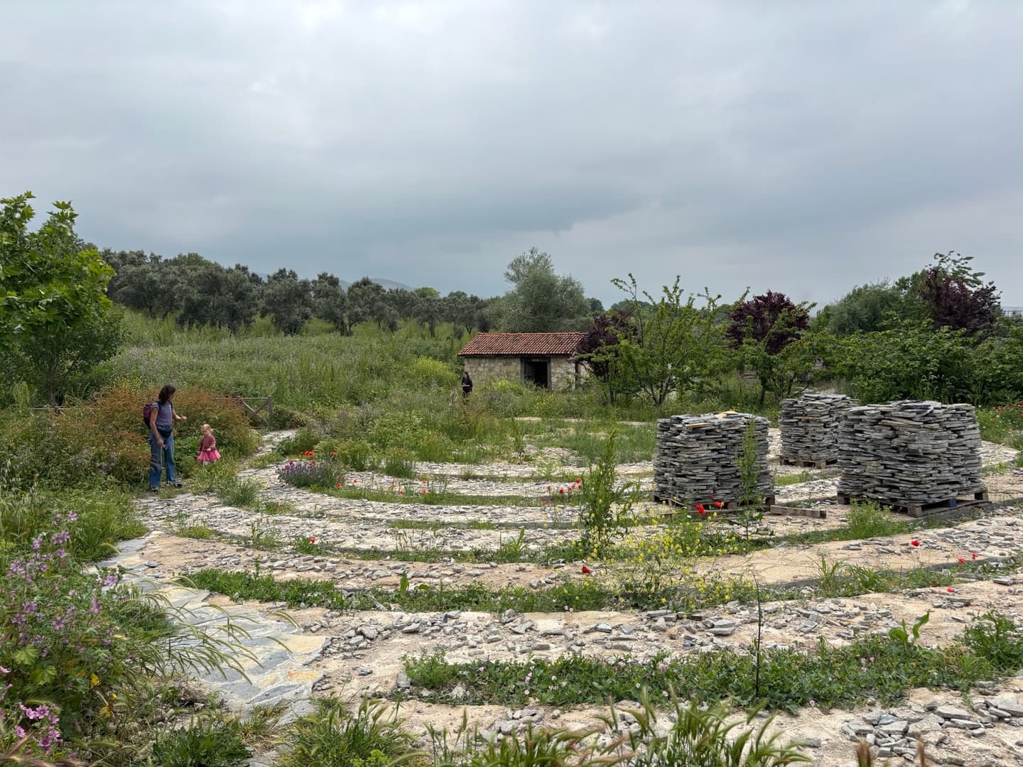 Aktopraklık Höyük 露天博物馆 - 图片 1