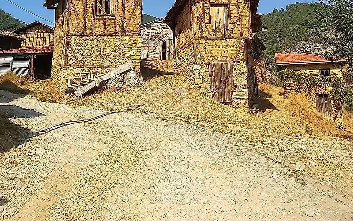 Ngarai Gelemiç & Gua Prasejarah
