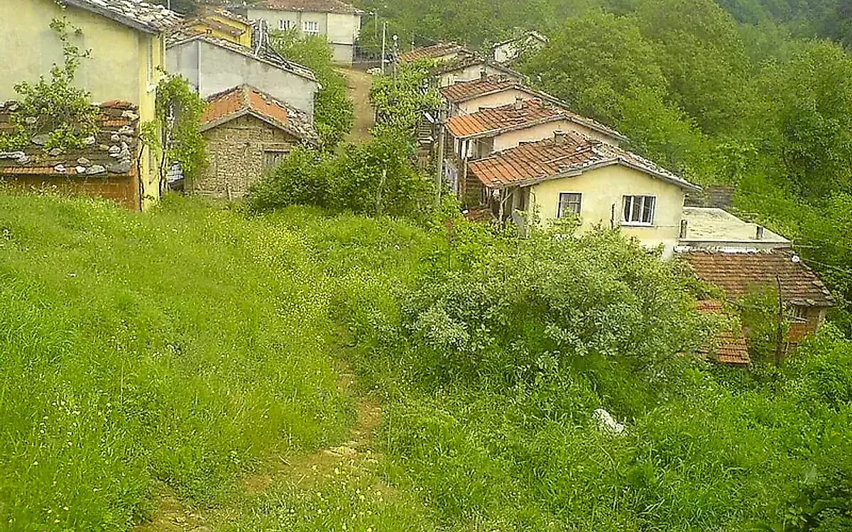 Saitabat Köyü Kadınları Derneği Organik Köy Evi (Kestel)