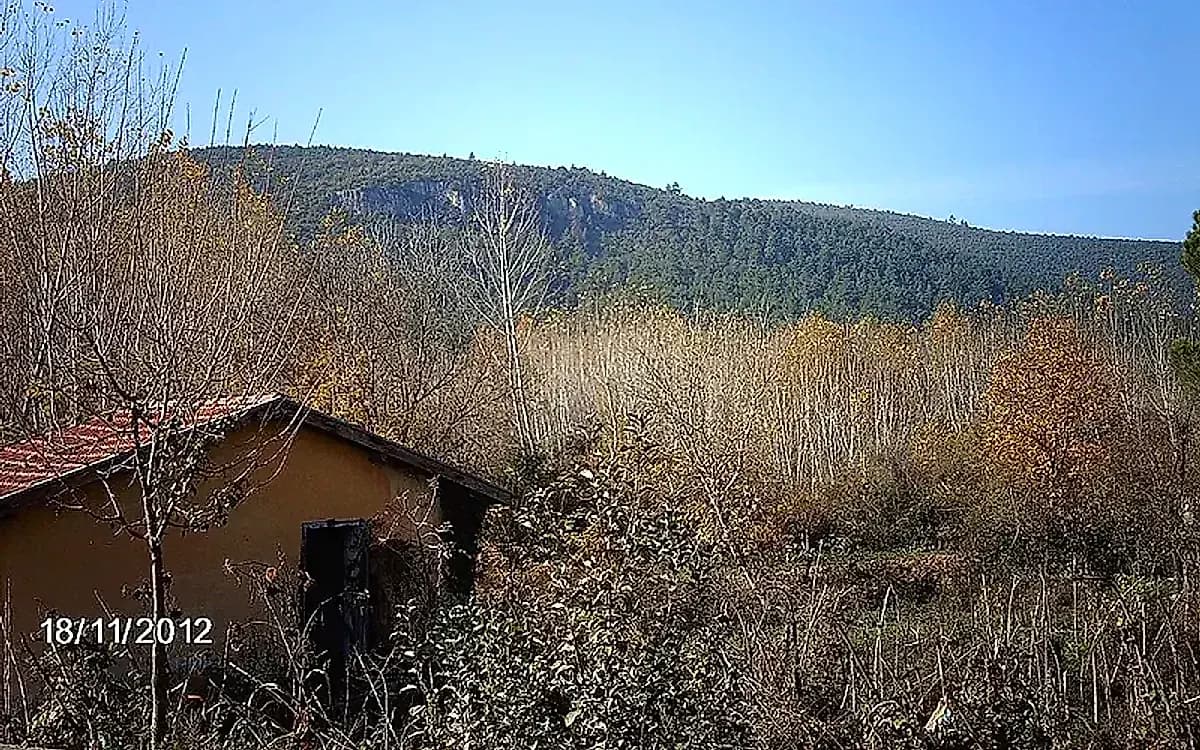 Göynükbelen Yaylası ve Çamlığı (Orhaneli)