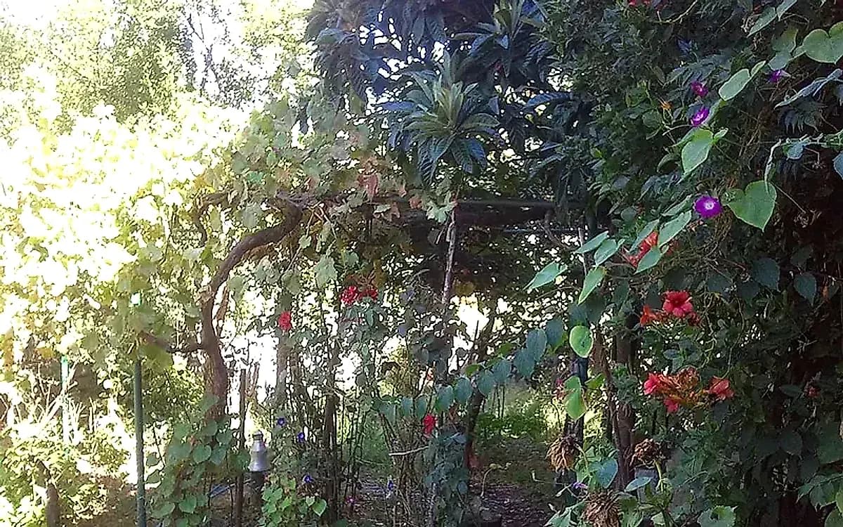 Orhangazi Gedelek Köyü Piknik Alanı