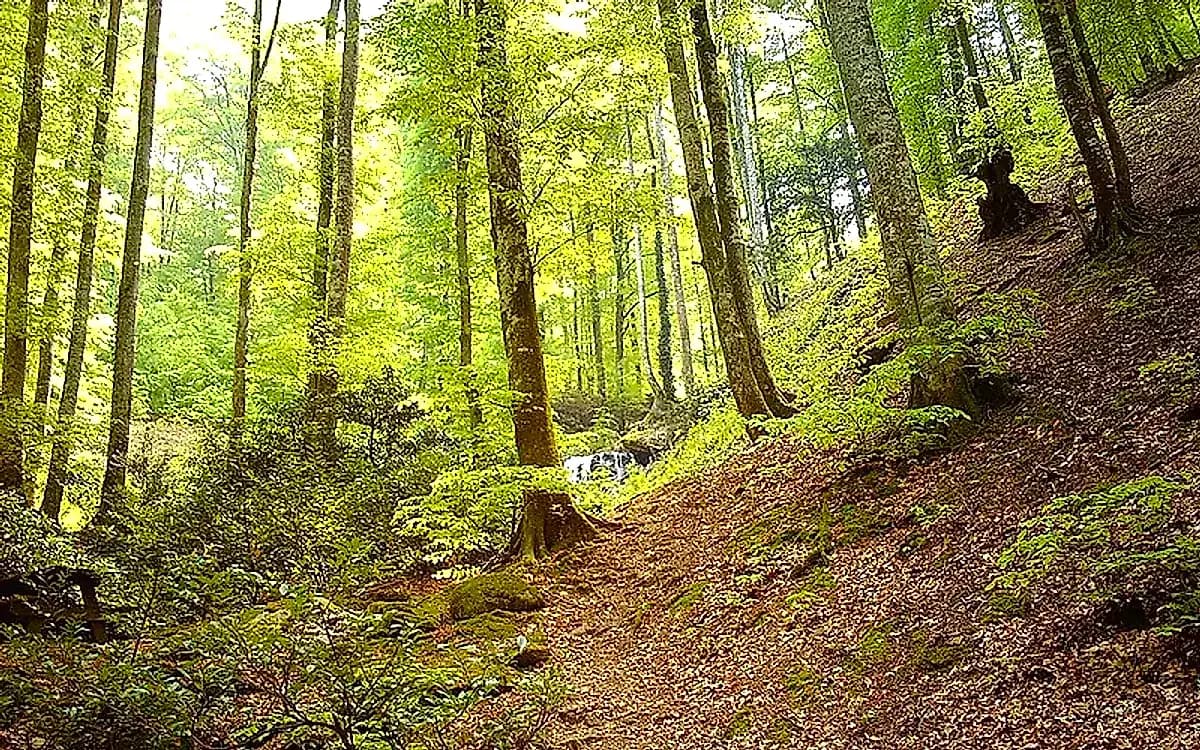 Hüseyinalan ピクニック・憩いの広場