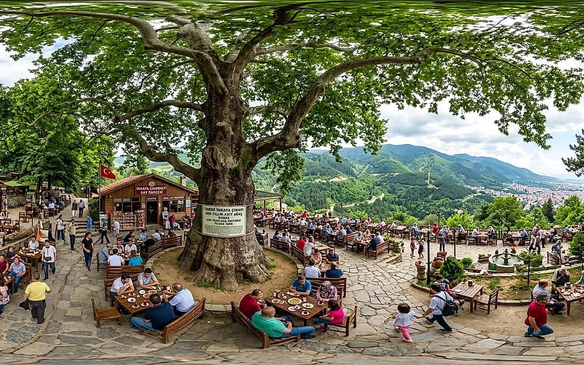 Historischer Çınaraltı-Teegarten und Dorfbeobachtung in İnkaya