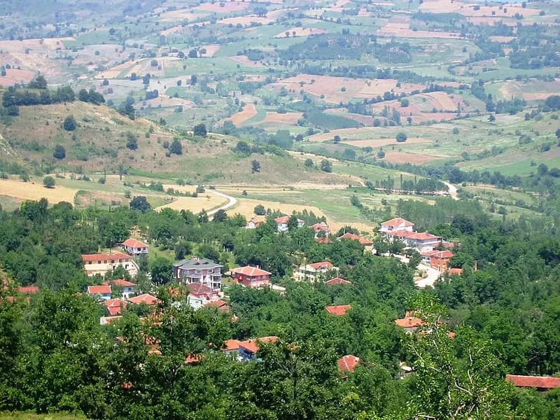 Cerrah Piknik Alanı