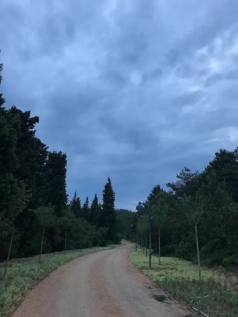 Cumalıkızık Orman Parkı - Görsel 1