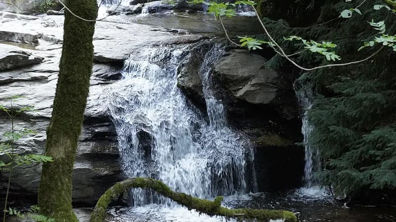 Gölbaşı Area Piknik & Rekreasi - Gambar 1