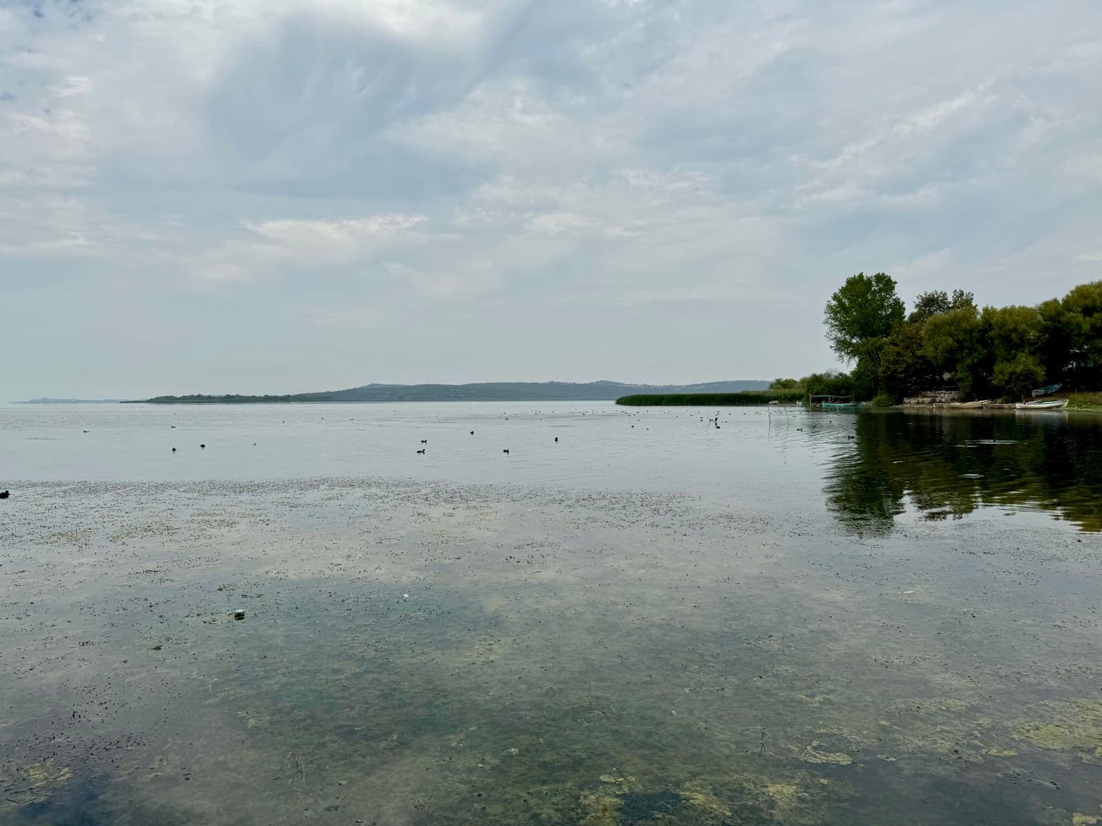 Dorf Gölyazı und weinende Platane: Märcheninsel des Uluabat-Sees & Reiseführer - Bild 1
