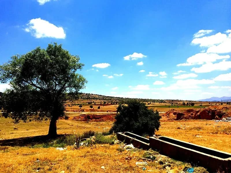 Harmancık Picknick- und Erholungsgebiet - Bild 1