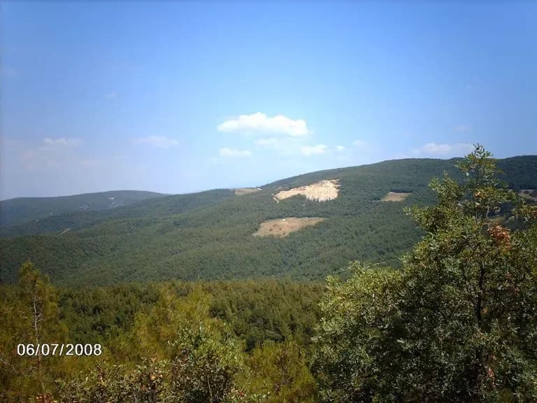 Frauenstrand Hasanağa - Bild 1