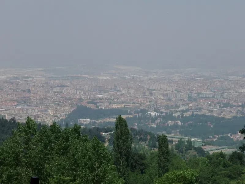 Nefes Dağyenice - Image 1