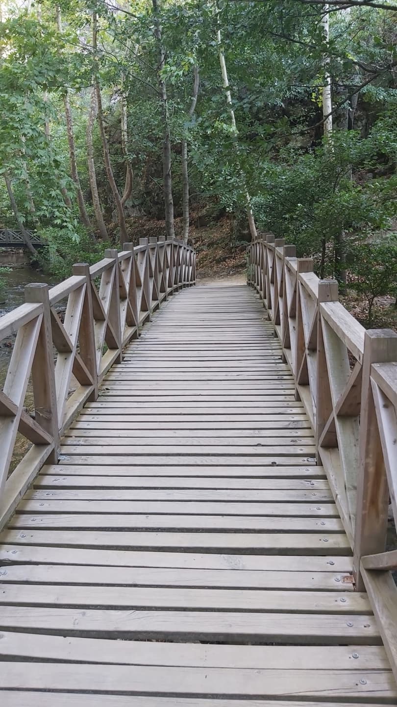 Naturpark Sadağı-Canyon: Römisches Felsenbad & Hängebrücken-Wanderführer - Bild 2