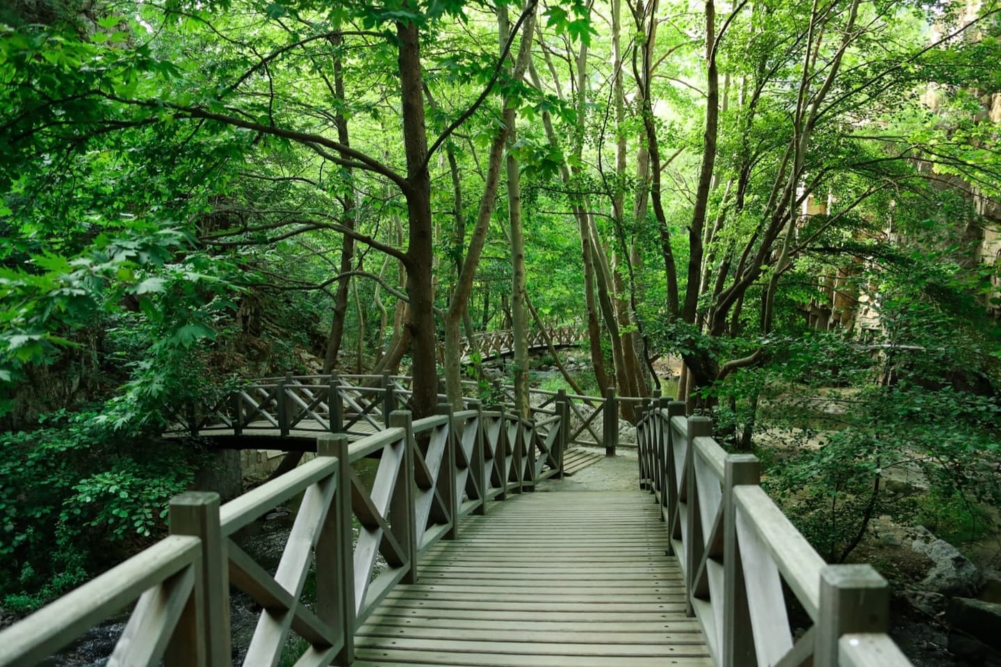 Naturpark Sadağı-Canyon: Römisches Felsenbad & Hängebrücken-Wanderführer - Bild 1