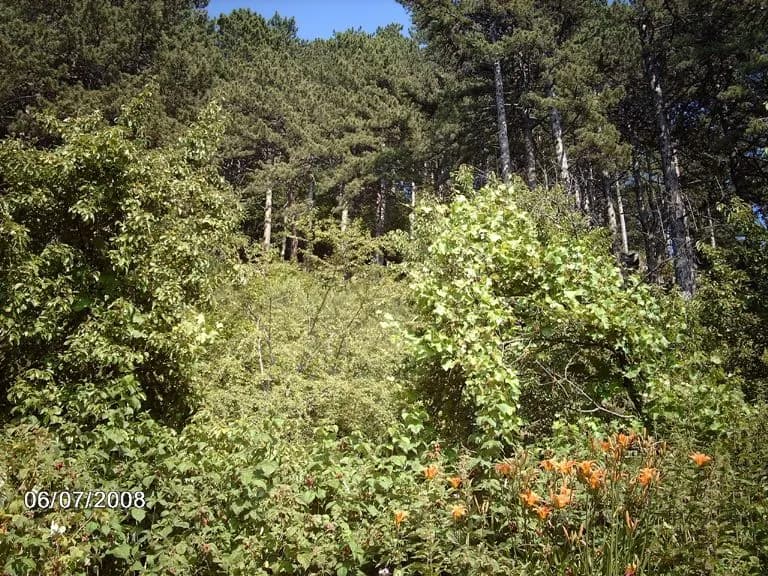 Sukaypark - Image 1