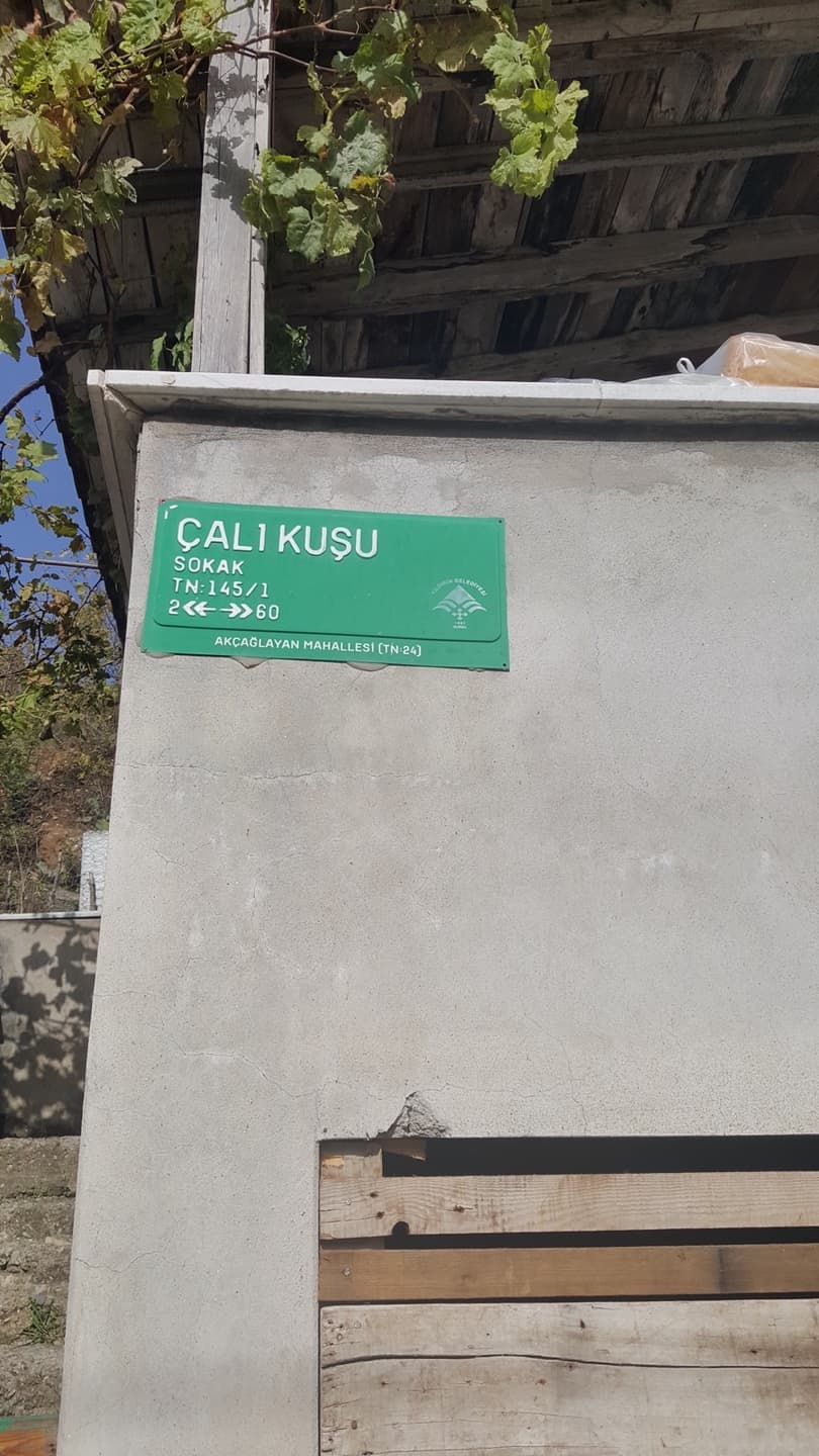 Desa Zeyniler & Rumah Calikusu - Gambar 2