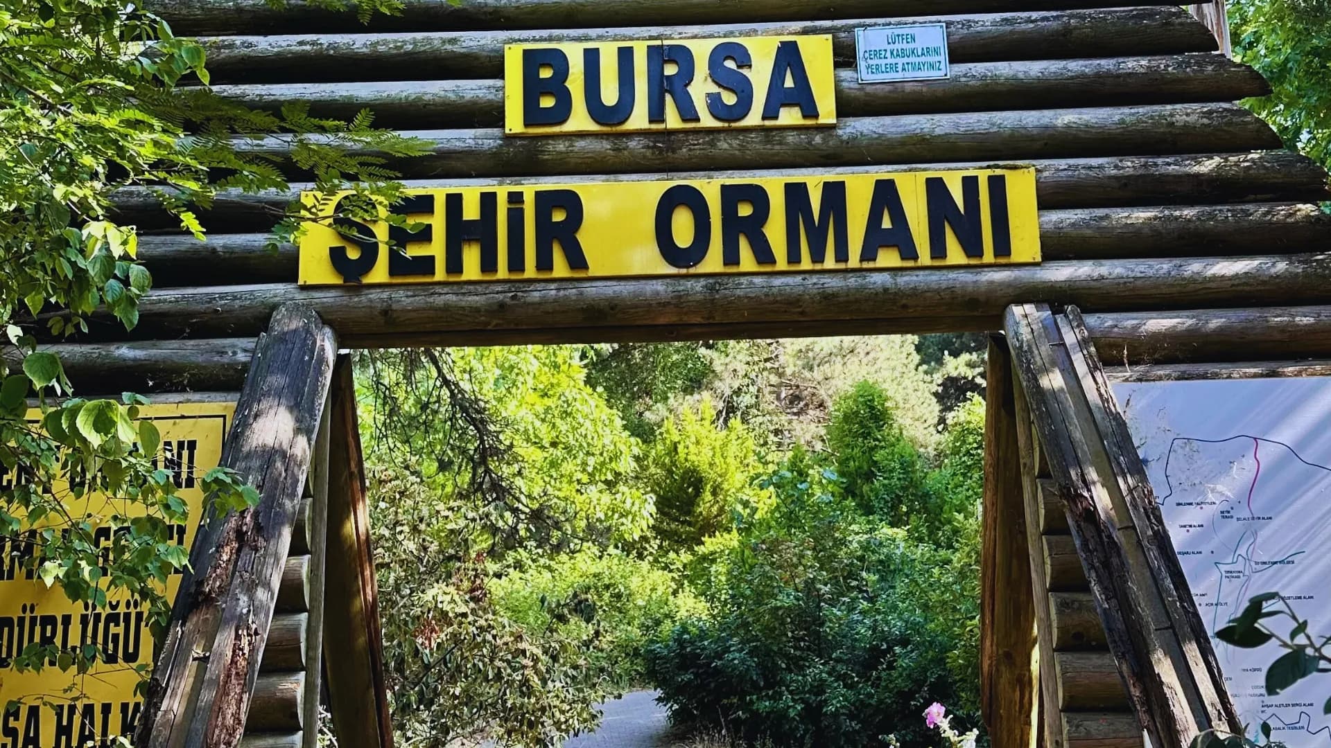 Aral Mesire Alanı
