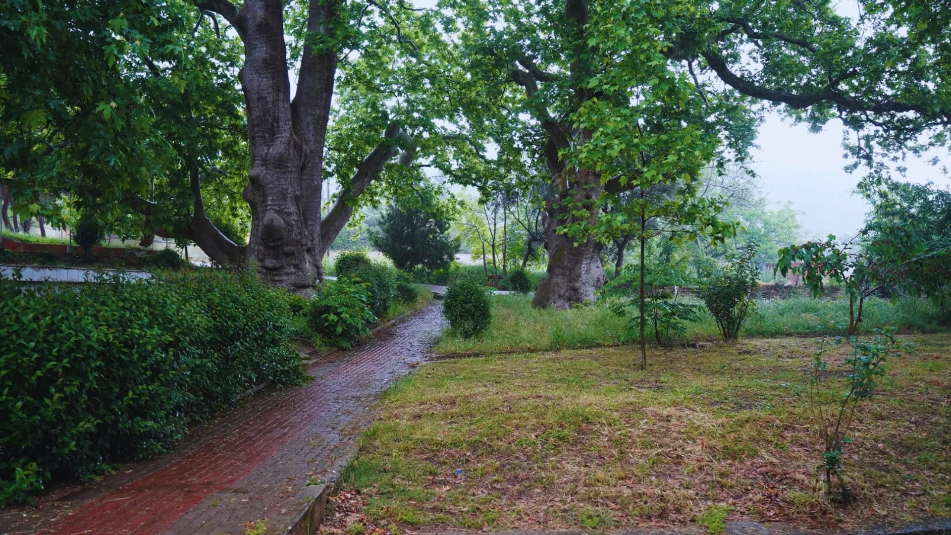 Orhangazi Gedelek Köyü Picknick- und Erholungsgebiet