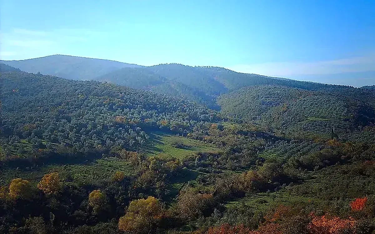 Blauer Ballon - Bursa Nilüfer Gezilecek Yerler
