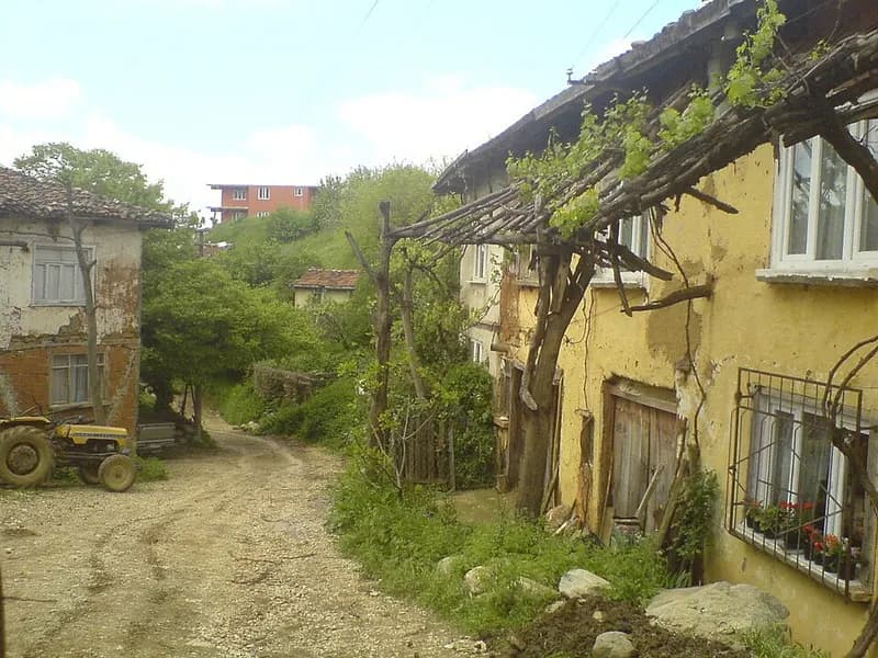Gedelek Köyü ve Tarihi Turşu Pınarbaşı Kaynağı - Görsel 1