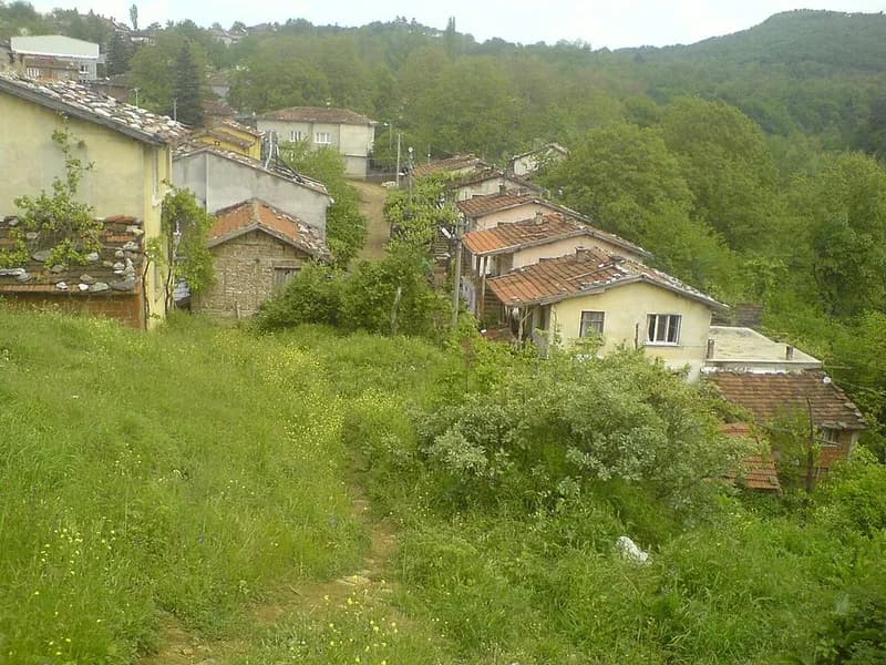 Saitabat Köyü Kadınları Derneği Organik Köy Evi (Kestel) - Görsel 1